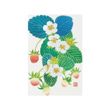 春柄 ポストカード 苺