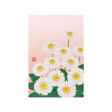 春柄 ポストカード デイジー