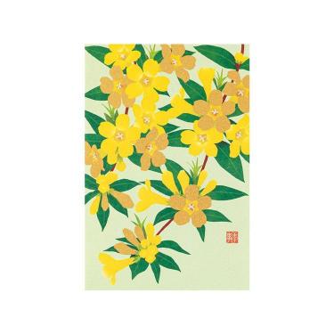 春柄 ポストカード ジャスミン