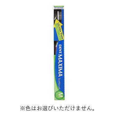 マキシマ 歯ブラシ ミディアム 1本入