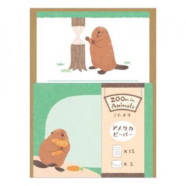 こたより ズームインアニマル ビーバー