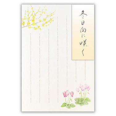 冬柄 はがき 冬五集 冬日向に咲く3A