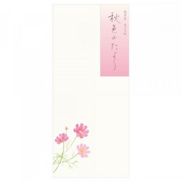 秋柄 封筒 秋六集 秋色のたより