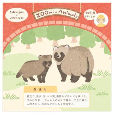 メモ ズームイン タヌキ