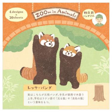メモ ズームイン レッサーパンダ2