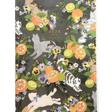 ◎6月新刊◎【全21冊】ꕤ୭*専用出品⑨܀ꕤ୭* Amazon.co.jp: BOMB23年9月号 セブンネット限定特典 川崎桜