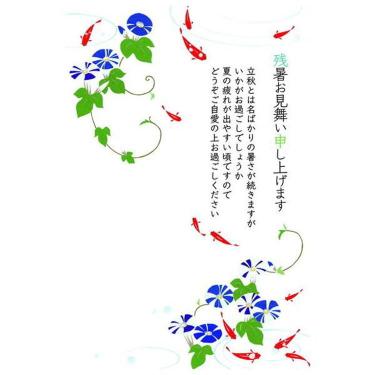 夏柄 残暑お見舞い ポストカード 紺色朝顔と金魚