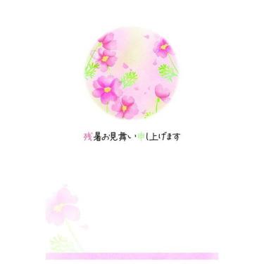 夏柄 残暑お見舞い ポストカード 秋桜だより