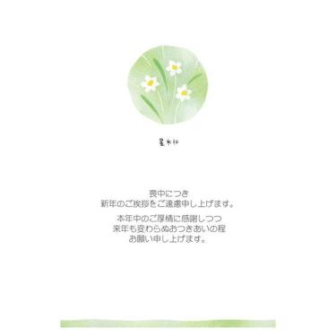 喪中はがき 星水仙 MPC-066 8枚入り