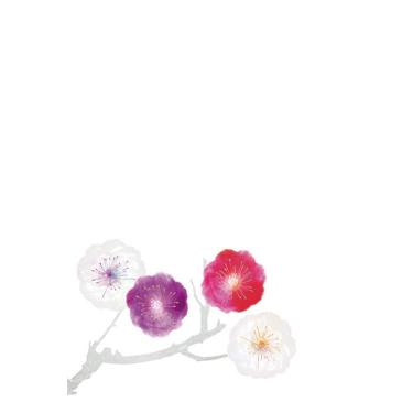 寒中見舞いはがき 白梅赤梅 3枚入り