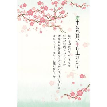 寒中見舞いはがき ピンクの梅 3枚入り