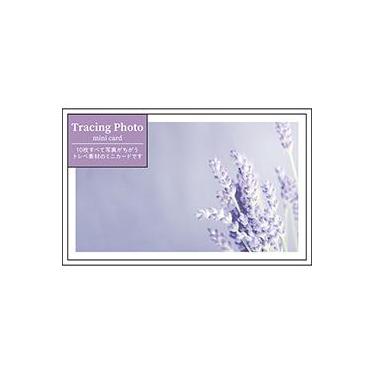 全部ちがう柄トレペフォトミニカード パープル