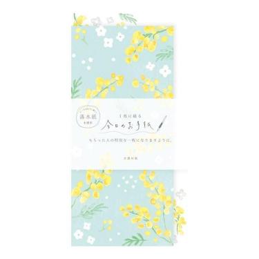 春柄 今日のお手紙 ミモザと白い花