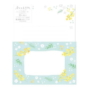 春柄 レターセット ミモザと白い花