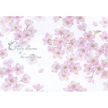 ふみ揃え便箋 チェリーブロッサム イン ザ モーニング サン