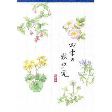 紙司撰 はがき箋 四季の散歩道・藍