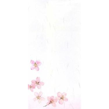 封筒 SAKURA