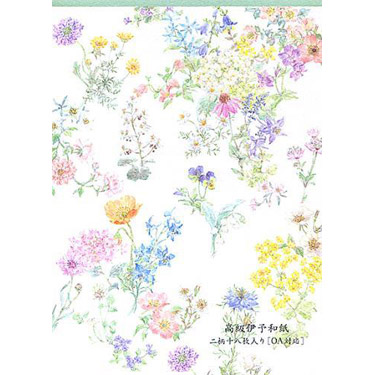 紙司撰 便箋 OA イングリッシュガーデン イン ザ モーニング サン