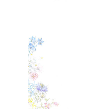 紙司撰 封筒 イングリッシュガーデン イン ザ モーニング サン