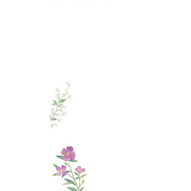 紙司撰 封筒 はなだより