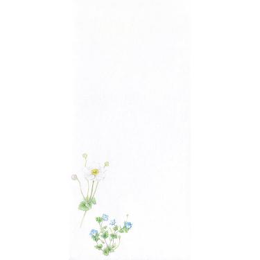 封筒 紙司撰 四季の散歩道 タテ罫