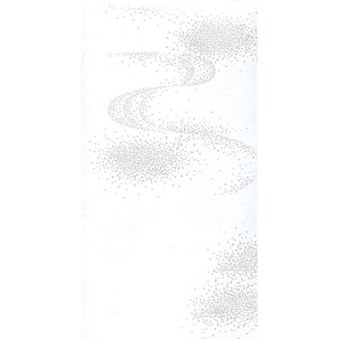 不祝儀金封 多目的 天穹