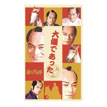 年賀ポチ袋 暴れん坊将軍 大義であった 2枚入り