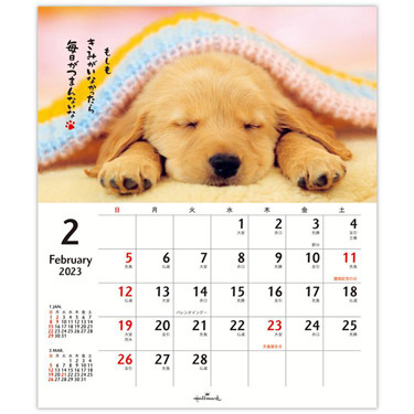 ２０２３年１月始まりカレンダー 壁掛け 柴犬です ＡＣＬ－１６５: ステーショナリー | ロフト公式通販サイト | LOFT