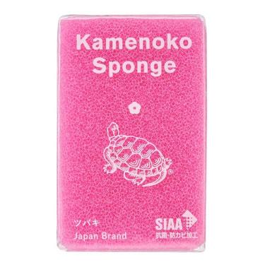 亀の子スポンジ　ツバキ