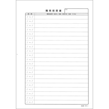 職務経歴書 A4 5枚