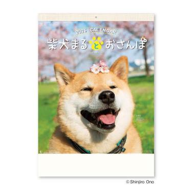 TTD 0230 【⭐︎ みっしー様⭐︎】【美品・数量限定】 41x3fci0YfL.jpg