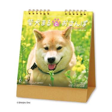 2027年1月始まりカレンダー 卓上 柴犬まるとおさんぽ