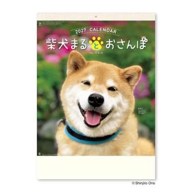 2027年1月始まりカレンダー 壁掛け 柴犬まるとおさんぽ