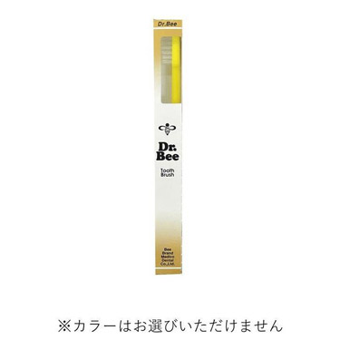 歯ブラシ レギュラー