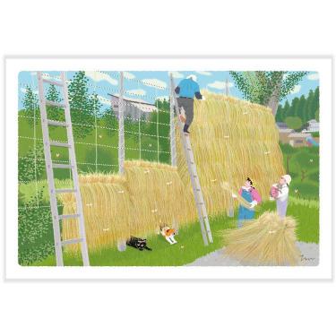 秋柄ポストカード たびねこ 秋の天日干し