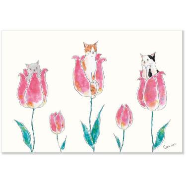 春柄 ポストカード トコロコムギ おやゆび姫にゃんこ