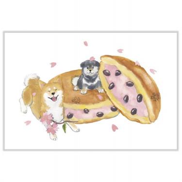 春柄 ポストカード 村田夏佳 しばいぬと春 桜どら焼き