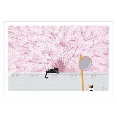 春柄 ポストカード もりとしのり たびねこ 桜の樹の下で