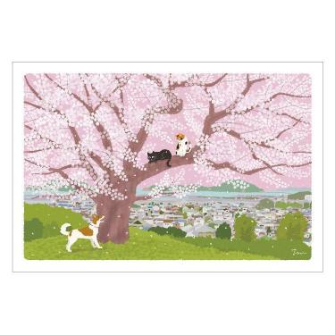 春柄 ポストカード もりとしのり たびねこ 丘の上の桜