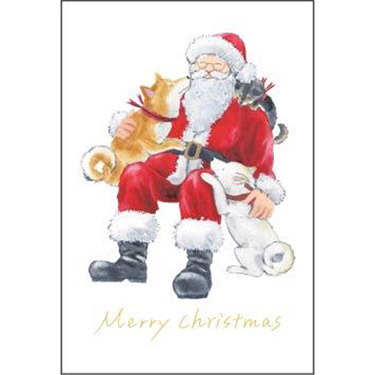 ポストカード しばいぬとクリスマス CMP-364