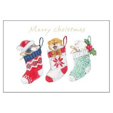 クリスマスポストカード クリスマスソックス