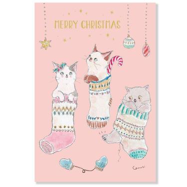 クリスマスポストカード トコロコムギ 猫 靴下 CMP-411