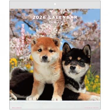 2026年1月始まりカレンダー 壁掛け DOG ACL-01