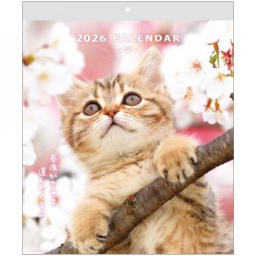 2026年1月始まりカレンダー 壁掛け CAT ACL-02