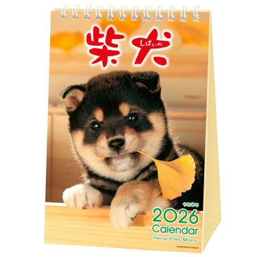 2026年1月始まりカレンダー 卓上 柴犬 ACL-543