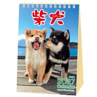 2027年1月始まりカレンダー 卓上 森田まるごと柴犬