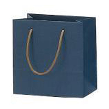 キャリーバッグ S ブルー