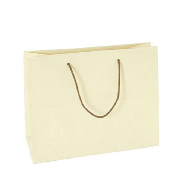 キャリーバッグ L ホワイト