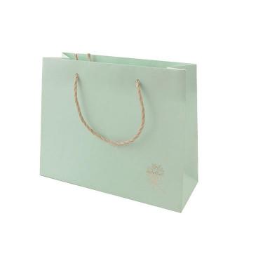 キャリーバッグ M ナチュラルミント