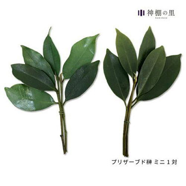 神棚の里 プリザーブド榊 ミニ